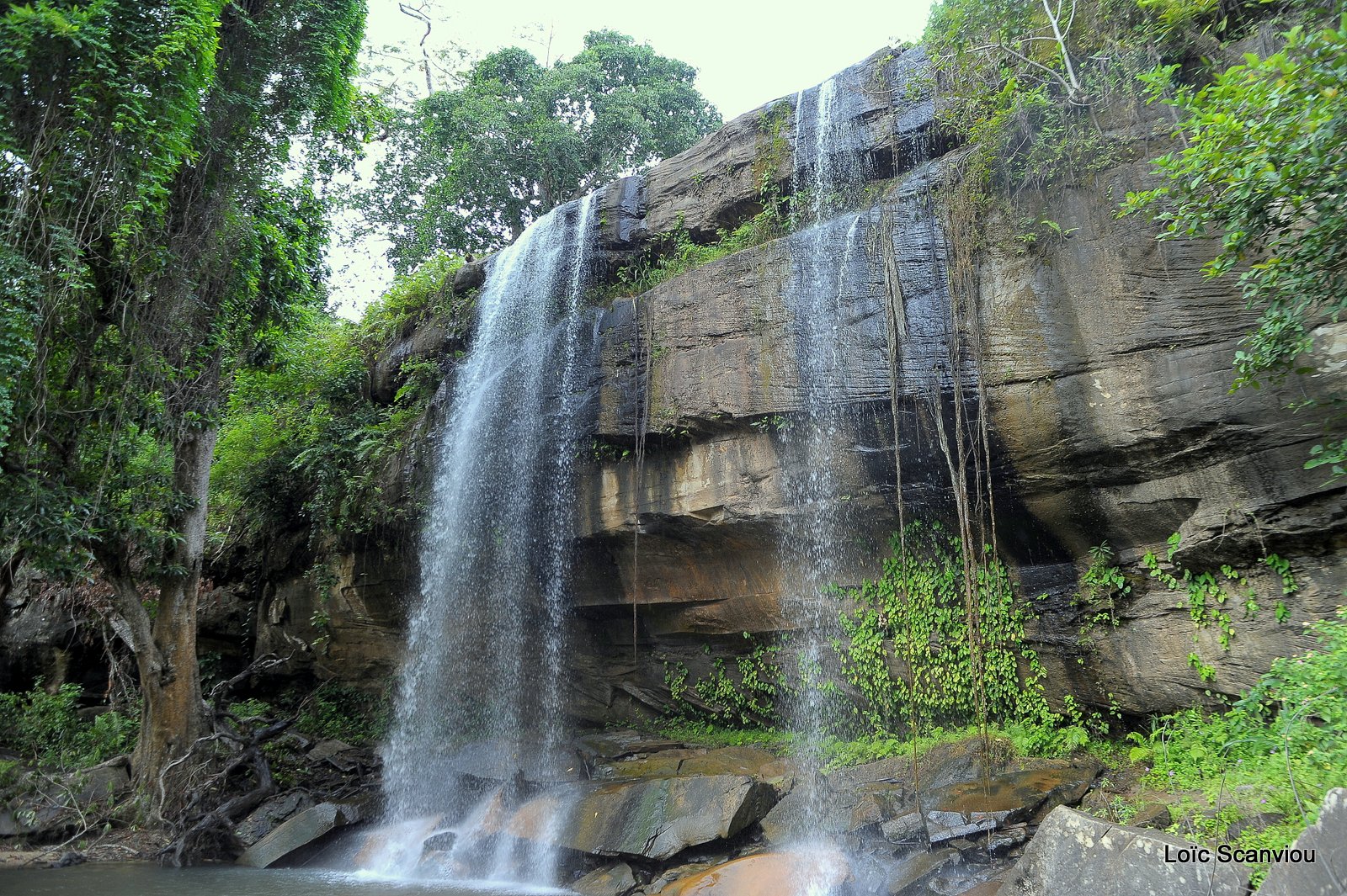 Chutes Sheldrick/Sheldrick's Falls (2)