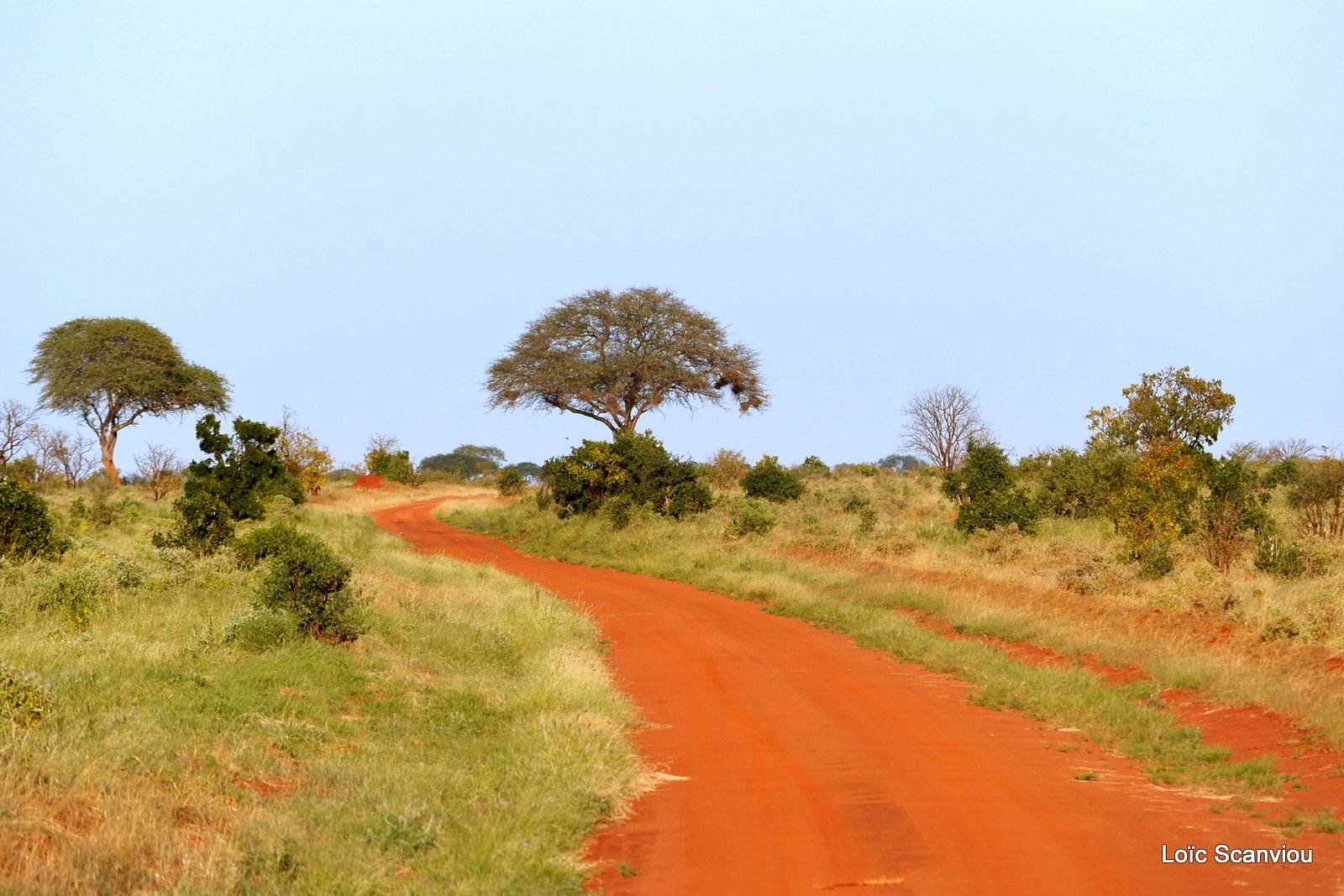 Tsavo East 2012