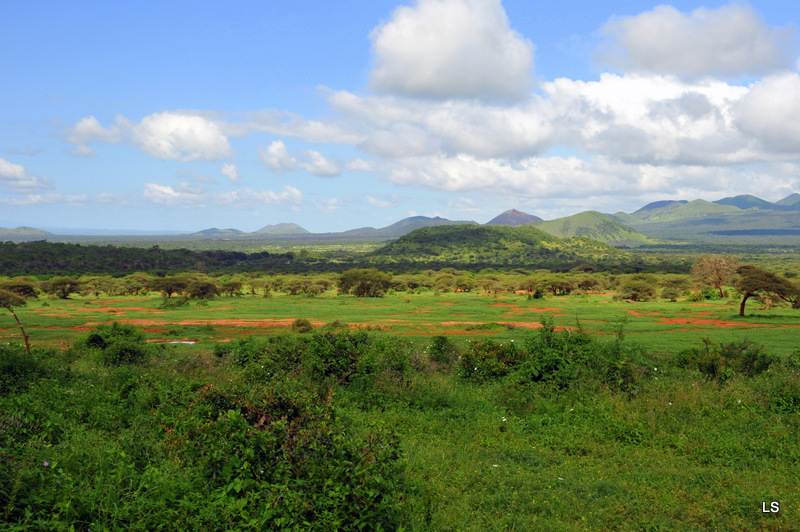 Tsavo West (3)