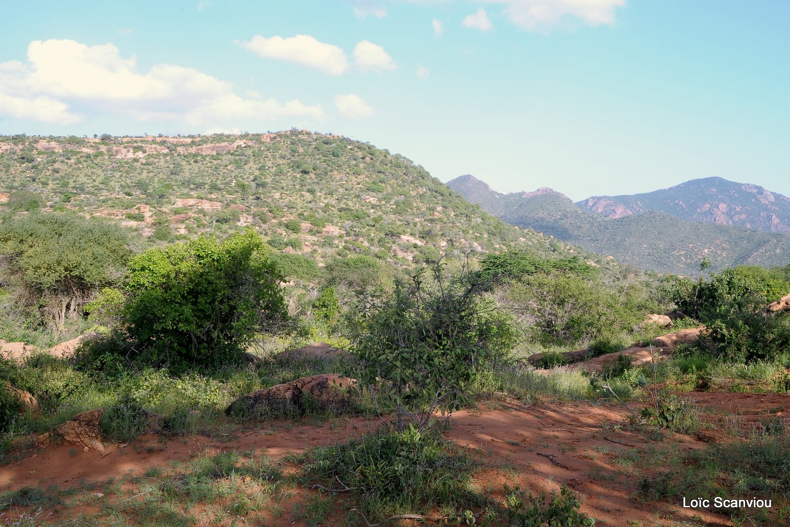 Tsavo West (1)