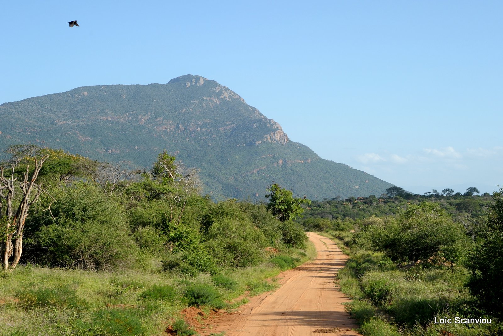 Tsavo West (3)