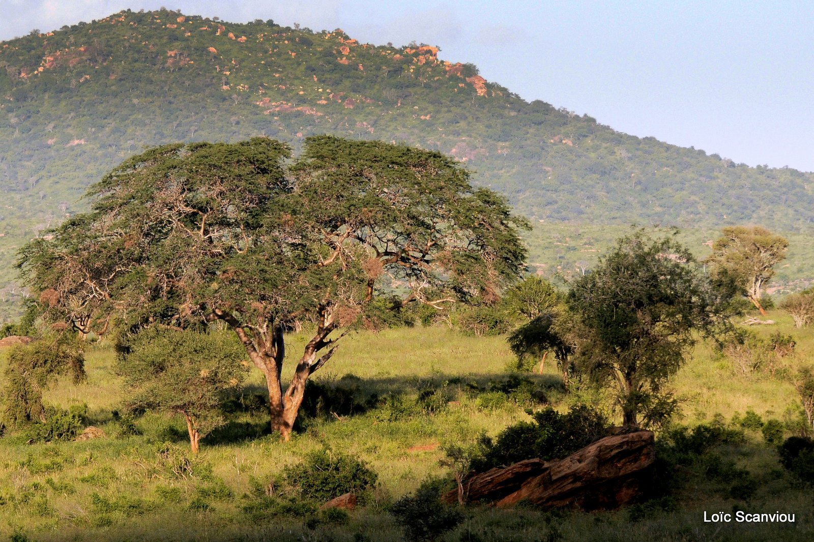 Tsavo West (7)